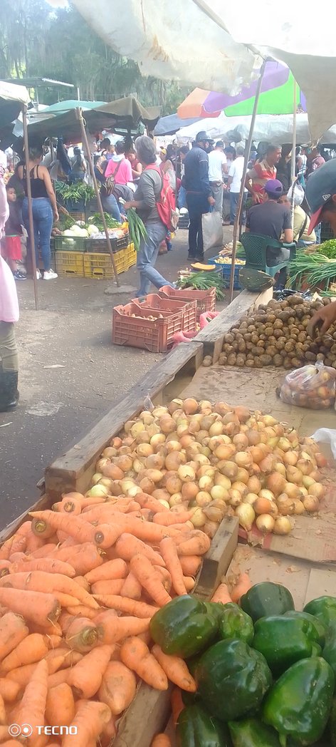 Me encuentro en el Tiscachic un centro de acopio dónde los campesinos de mi pueblo ofertan sus productos a precios bien accesibles. Gente de Guaramacal, Burbusay, Siquisay, altos de San Rafael, Tiranda, Niquitao, San Miguel. Pueblo llano gente de trabajo y cosecha.⬇️⬇️⬇️