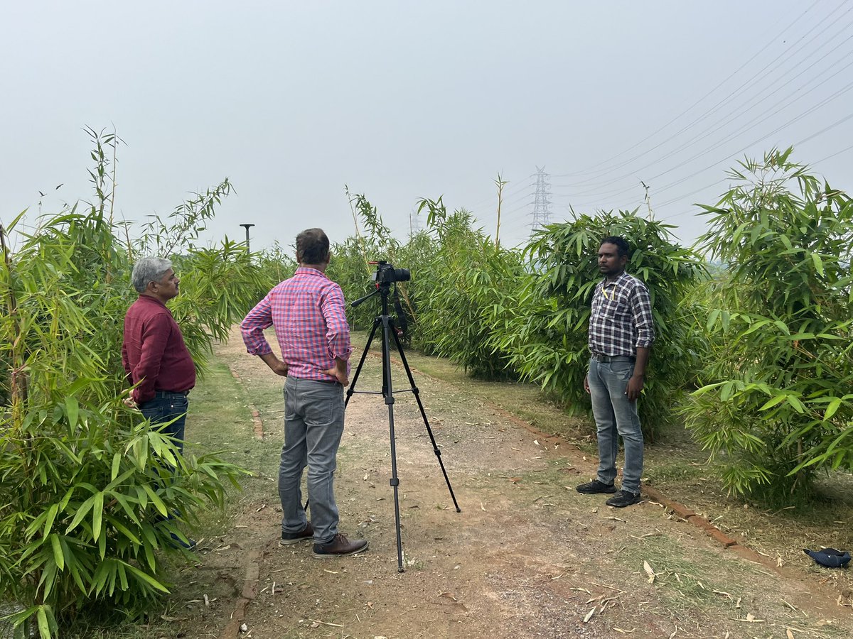 vikranttongad's tweet photo. @ बासेरा (बास का जंगल) , यमुना फ्लड प्लेन, दिल्ली
#environment #Basera #YamunaDelhi #TreePlantation #VikrantTongad #SAFE https://t.co/8rY38lkiLS