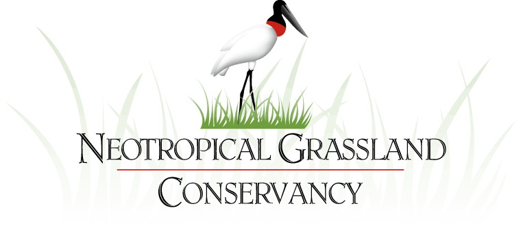 Logo neotropicalgrasslandconservacy