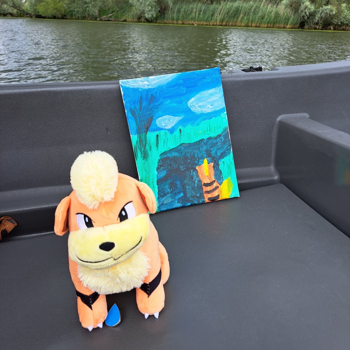PokecenterNL's tweet photo. Trainers gefeliciteerd #pokemon #pokecenter #pokemonnl https://t.co/QBT0E6kH4f