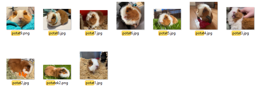 palarowski's tweet photo. Kiedy montujesz podgląd z gry na drugi kanał @arhneu i żeby ukryć spoilery wykorzystujesz zdjęcia @potatku, więc masz folder pełen uroczych fotek Potatka. Tyle wygrać 🥰 https://t.co/8gGvWwXbjY