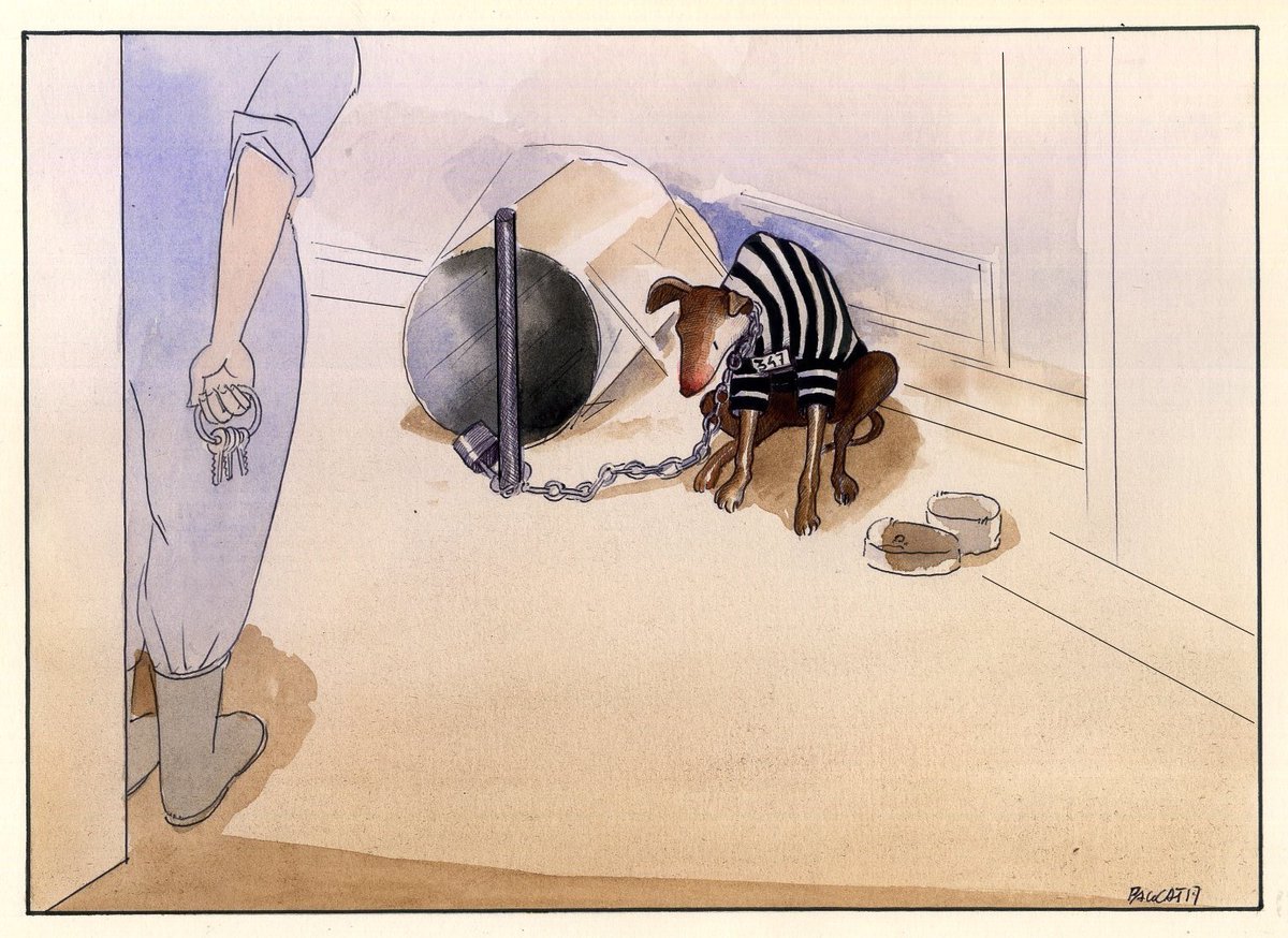 Paco Catalán. tweet media