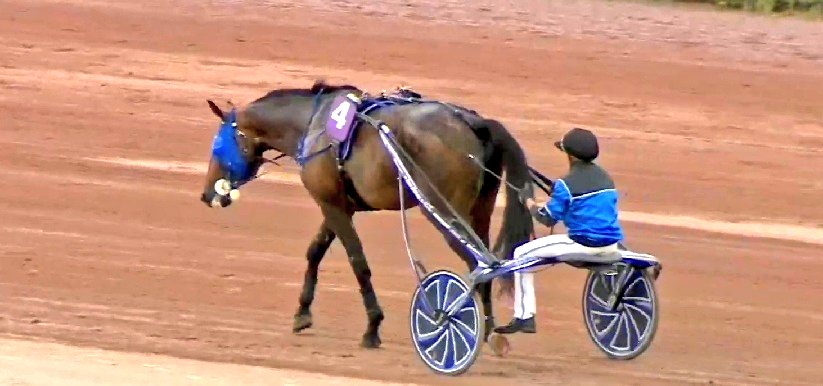 meaulnes46's tweet photo. GO GO GO ÉTONNANT 💙
#trot #crack #legend #timoko https://t.co/aU5fyh9lWr