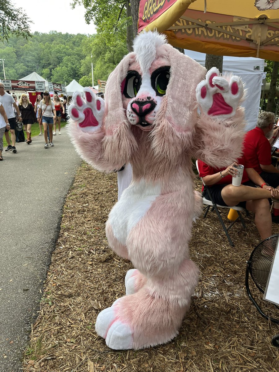 arcadianatelier's tweet photo. i can’t believe i ran into a fursuit at this little mountain country faire today, look how cute it is!! i wish i could link them but they said they didn’t have any socials 😭 https://t.co/DelLmloCQ6