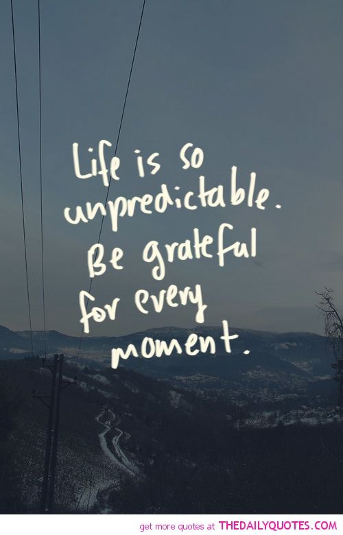 wise_chimp's tweet photo. Reminder https://t.co/1jfHq5hHOp