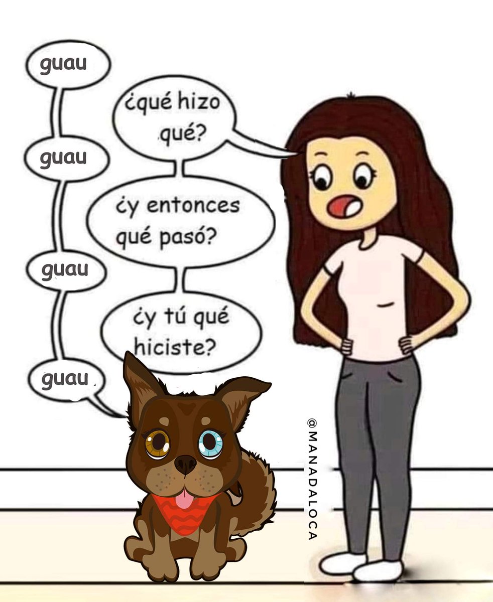 manada_loca's tweet photo. Cuando tu perro te cuenta cómo le fue en el día 😁🐺🐾 #ManadaLoca

#MannyTheRottsky #huskymix #husky #lomitos #suabeslomitos #perrito https://t.co/S8loLxDuXY
