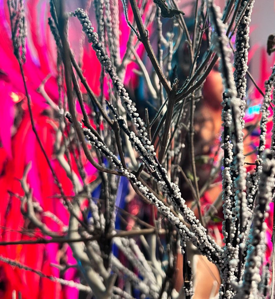 PURE Carnival tweet media