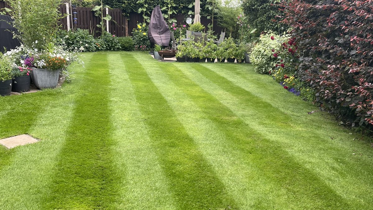 Joe Smoe 🍻 tweet media