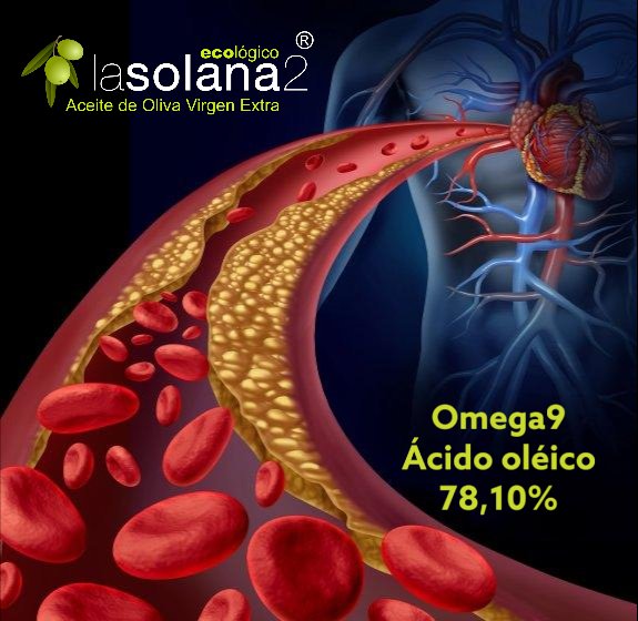 El consumo moderado de ácido oleico es beneficioso para la salud, la clave para una dieta saludable es mantener un equilibrio entre los diferentes tipos de grasas (monoinsaturadas, poliinsaturadas y saturadas) y no basar la alimentación únicamente en un tipo de grasa.
