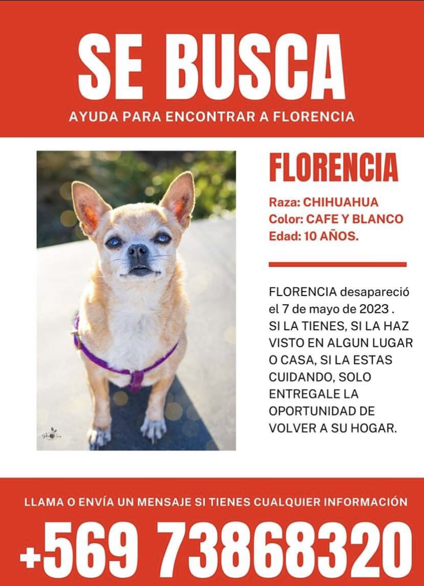 Gabriel83544043's tweet photo. @rodrigosepu @meganoticiascl @Mega porfavor, sacaron la perrita de mi mamá el 7 de Mayo en san Pedro de Atacama,llevamos mucho tiempo buscándola.pedimos si saben algo, si la están cuidando que nos llamen la necesitamos😞puede estar en cualquier parte de chile Gracias https://t.co/Bh8H47YmfY