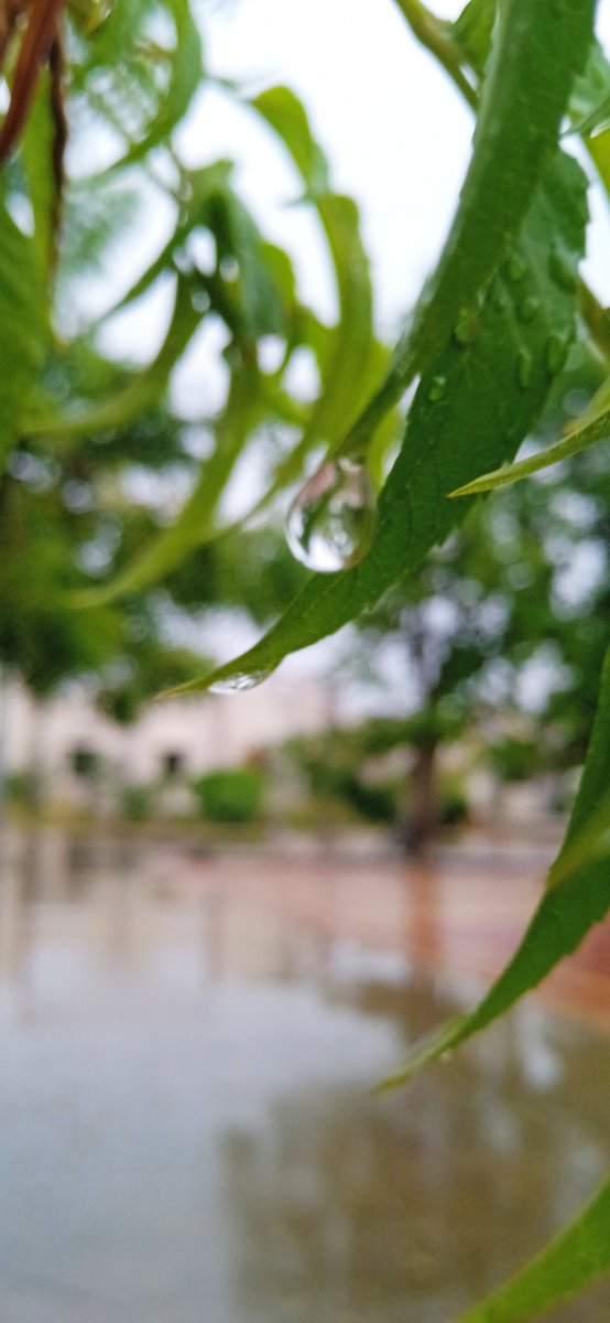 nihu_12's tweet photo. POV : it's monsukoon not monsoon https://t.co/DS4RnoixXP