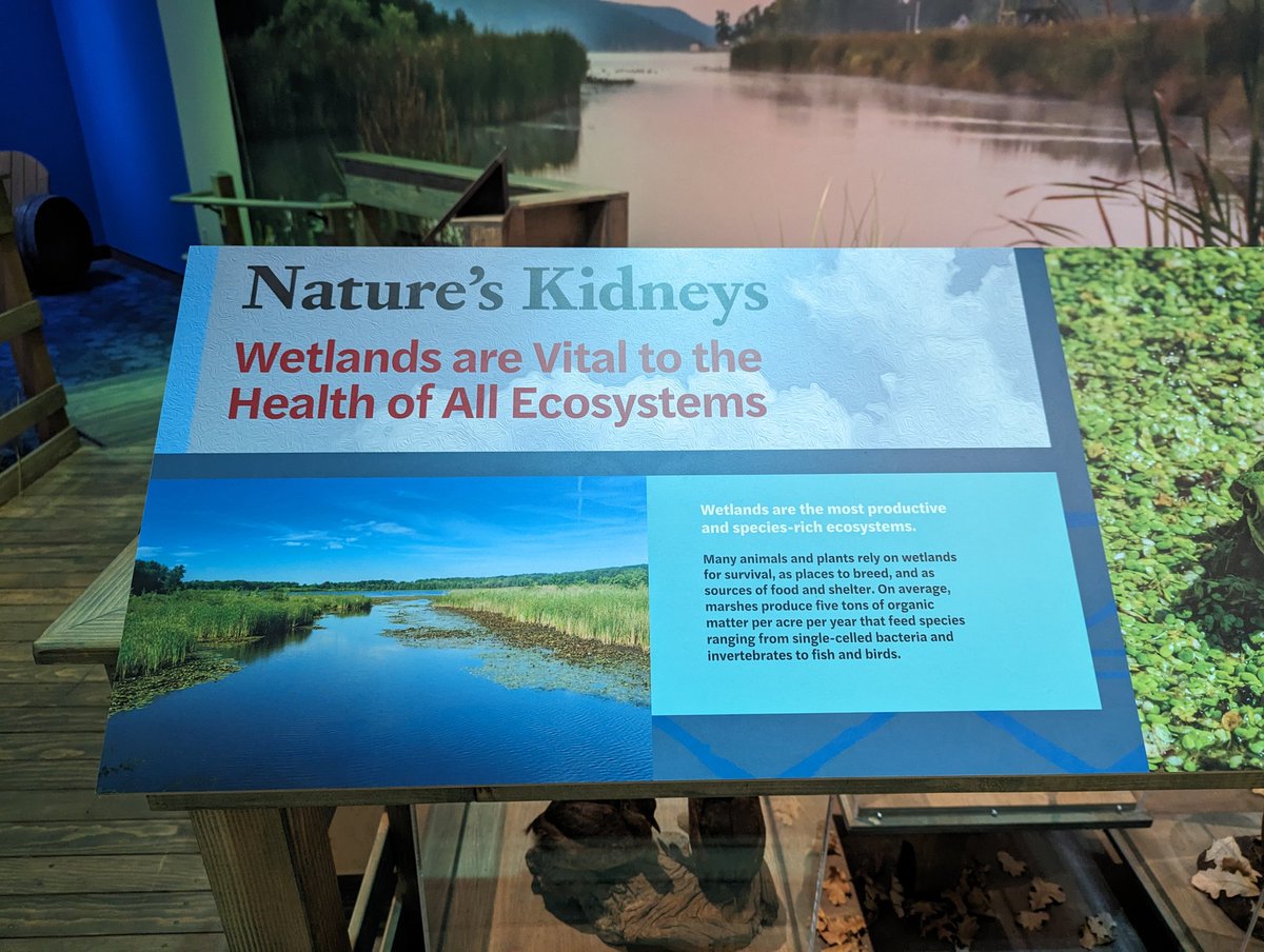 New exhibit at the Rochester Museum and Science Center