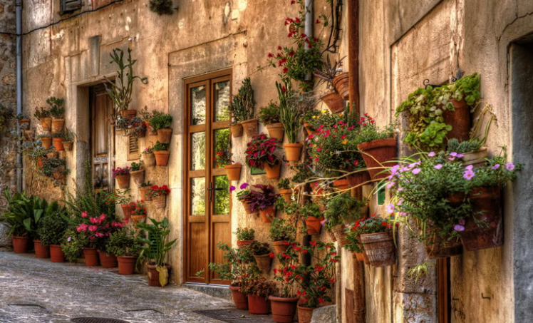 AutosVima's tweet photo. Take in the most romantic town in Mallorca!
Valldemossa an idyllic small town which you can take in during the sunset!
https://t.co/smb2xdWUTc
#valldemossa #mallorca #sunset #vima #rentacar https://t.co/lqpkyLNwU5