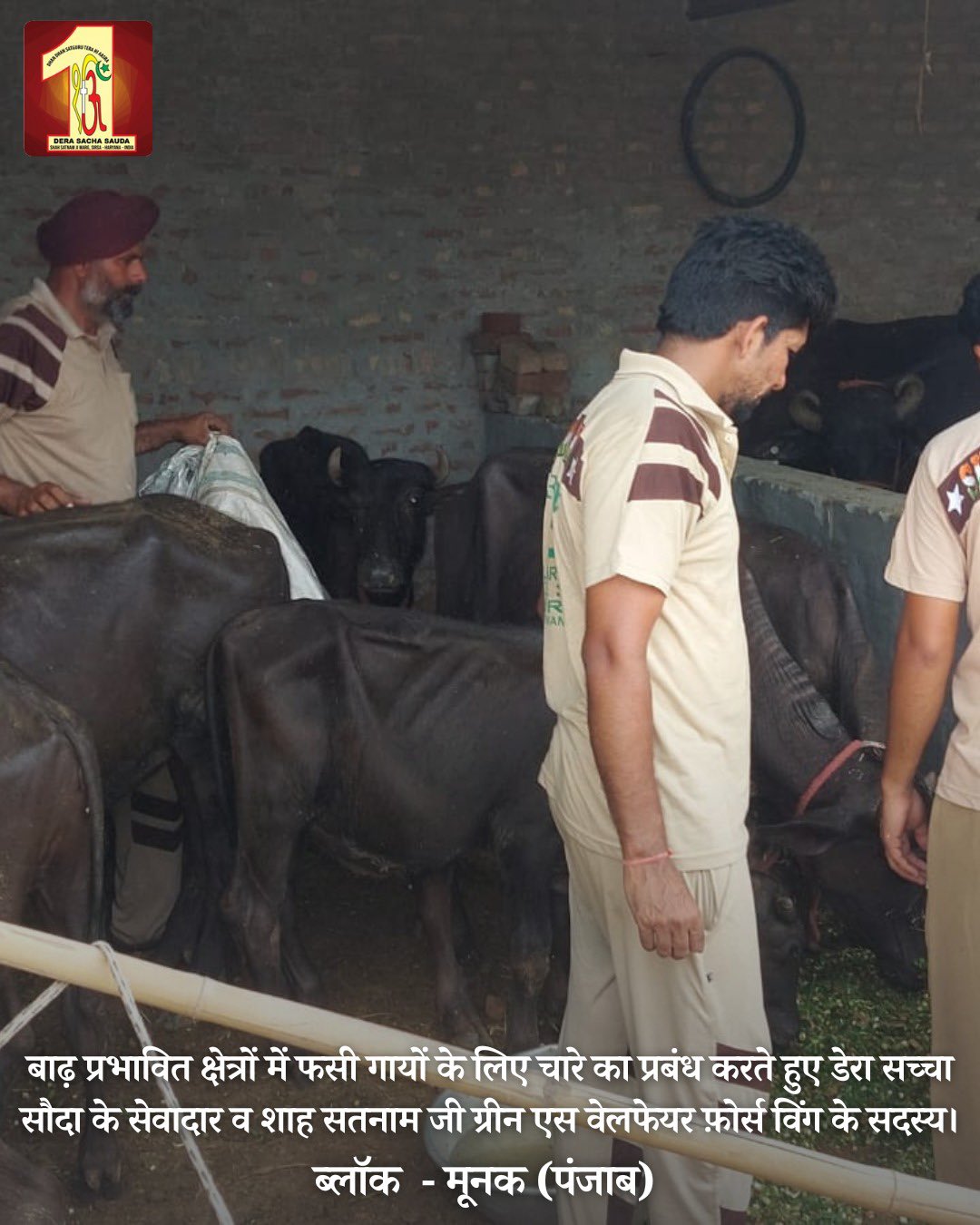 Dera Sacha Sauda on Twitter "With hearts full of kindness, 