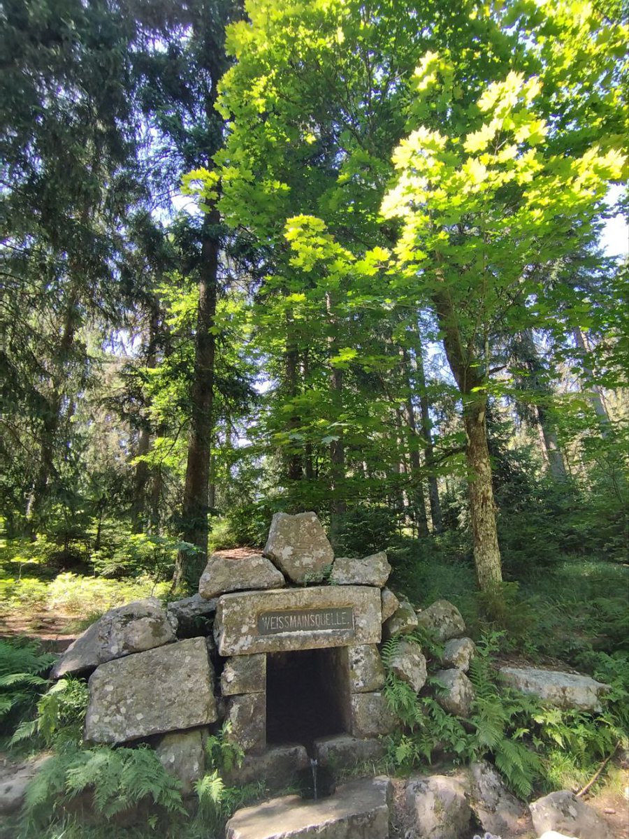 Waldbodentyp's tweet photo. Wanderwochenende am Ochsenkopf 🥾🥾 entlang der 🇪🇺-Wasserscheide 💦 wo 'Grün' und 'Rot' zusammentreffen (👉@PythonMaps). Karte stimmt! 😉 Am Weißmainfelsen /-quelle tolle Wollsackverwitterungen von Granitfelsen!
#Geology #Geograpy https://t.co/5URZWog8Kn