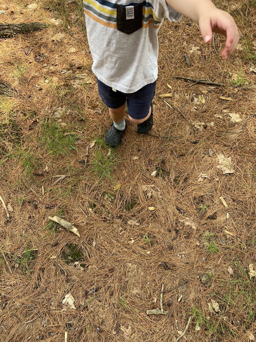 KMS_PE's tweet photo. My son wanted to wear crocs instead of sneakers to walk to the park today... sad day as a PE teachers #saynotocrocs https://t.co/rtfD1qUw8b