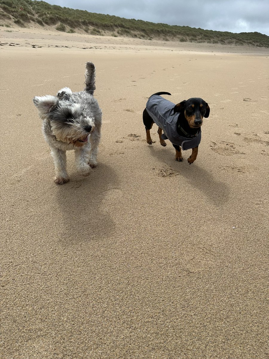 mdee1967's tweet photo. Jaunt to Mullaghderg Beach followed by a pint of sustenance in Caisleáin Óir #Donegal #WildAtlanticWay https://t.co/TekcYQ7ypd