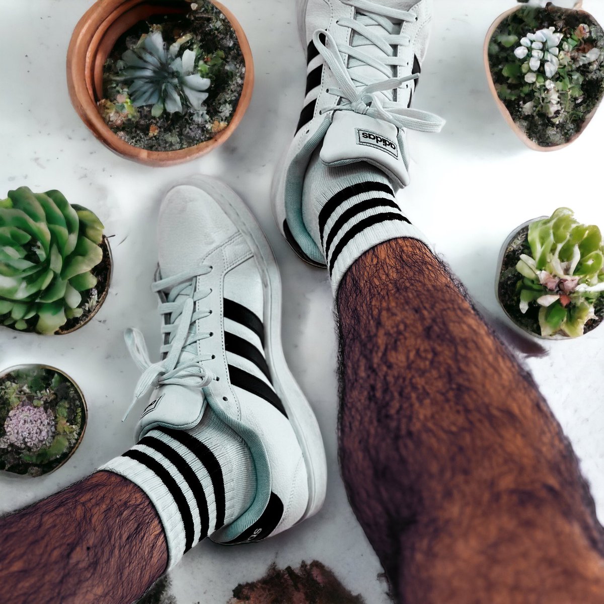 Jump into summer 

#jump #cactus #sun #sneakers #summer #beach #adidas #cactuslover