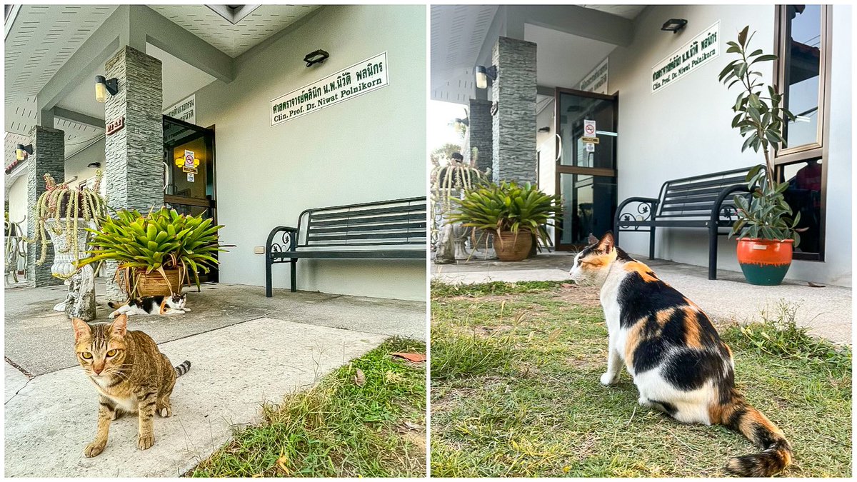 ใครอยู่หัวหินอยากพบแพทย์ผิวหนังระดับแนวหน้า ไม่ต้องเข้ามากทม.ก็ได้นะ นี่เลยค่า คลินิกผิวหนัง ของศาสตราจารย์ คลินิก นายแพทย์ เกียรติคุณ "นิวัติ พลนิกร" ขนาดฉันอยู่กทม. ยังแพคกระเป๋าไปหัวหินเลยยย ความอยากทำหน้ากับอจ.ซักครั้งในชีวิต  

ไปถึงปุบหน้าคลินิกมีน้องแมวมาต้อนรับด้วยน๊าาา