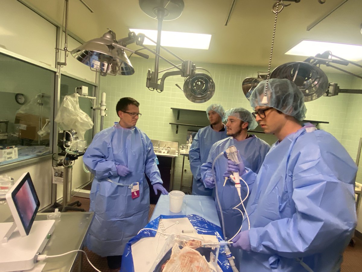 Shaheen Islam tweet media