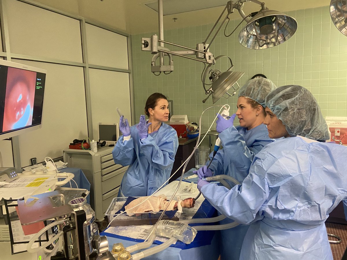 Shaheen Islam tweet media