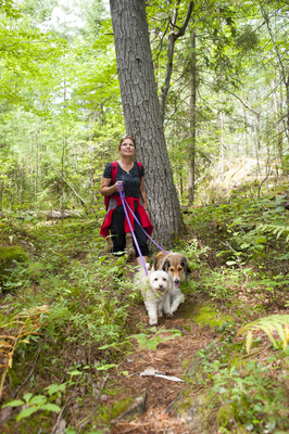 Pretty River Valley Provincial Park tweet media