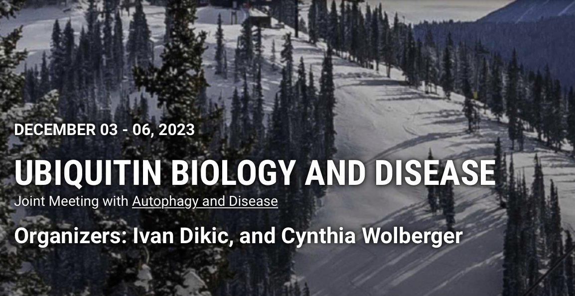 Merging #Ubiquitin biology, #Autophagy and diseases at <a href="/KeystoneSymp/">Keystone Symposia</a> 🙄

Exciting program, new discoveries &amp; focus on trainees, pre-sking season. Real joy working with <a href="/CWolberger/">Cynthia Wolberger</a> <a href="/AnastasiaGHenry/">Anastasia Henry</a> @BaehreckeLab 👍🫶

Application for abstracts and selected talks August 30 😊