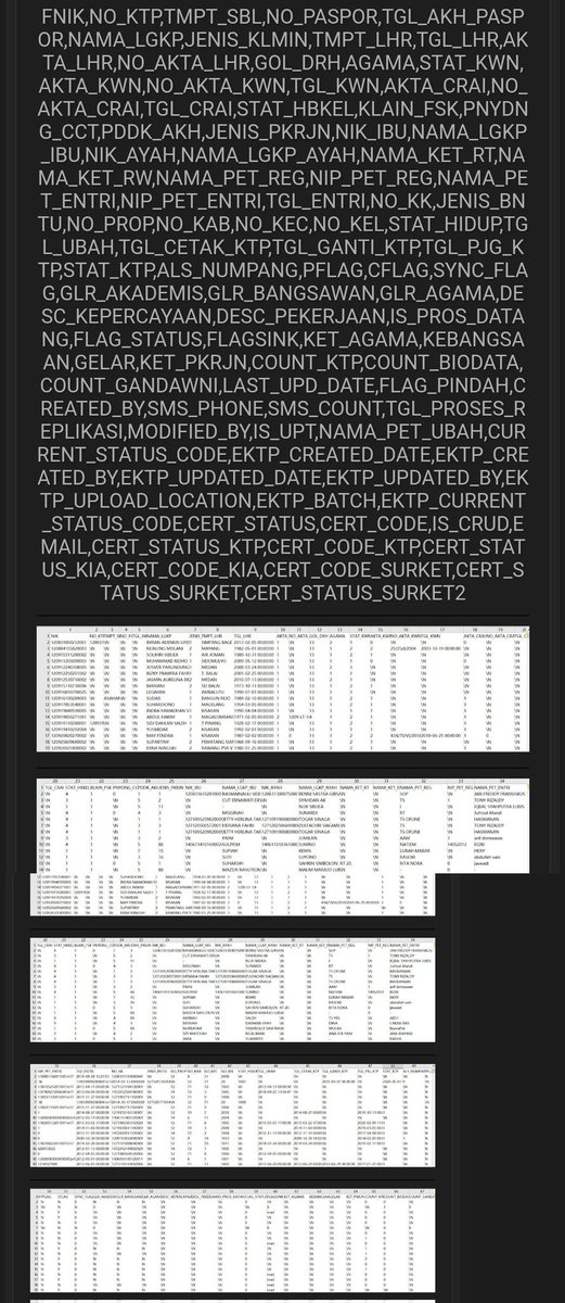 apostiera's tweet photo. Beneran parah sih, 337jutaan data kependudukan kita (KTP) yg dikelola Dukcapil dijualin di breach forum.

Mana mau pemilu pula. https://t.co/0fstI6d8EN