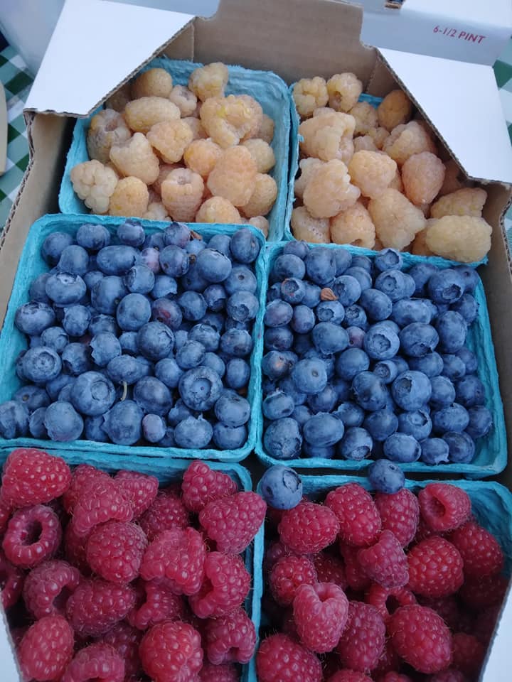 Explore_TD's tweet photo. Gems, berries, soap, oh my!

The Dalles Farmers Market has everything! Shop for your fridge and for your house, all local! 

Going on now until 1pm at City Park.

#explorethedalles #explorethegorge #thedalles #farmersmarket #shoplocal https://t.co/GFVFm264Wk