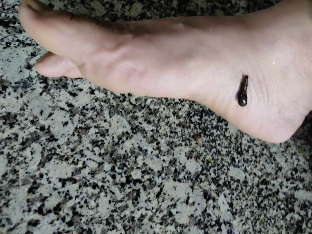 Robindarr's tweet image. डिस्टर्ब नगरम् । ह्वाँ कर चुस्नमा व्यस्त होइसिन्छ ।