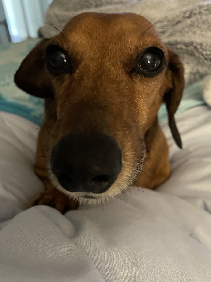 Marvin and Walter tweet media