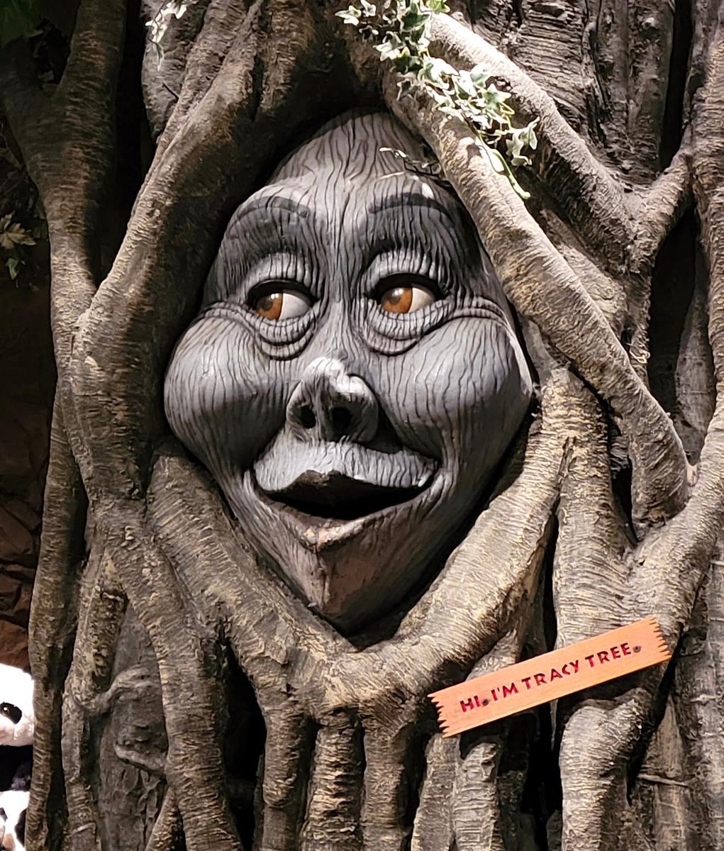 RainForest_Cafe's tweet photo. No trip to Rainforest Cafe is complete without stopping by to talk to Tracy Tree! 🌳 https://t.co/FsYuI8mjcs