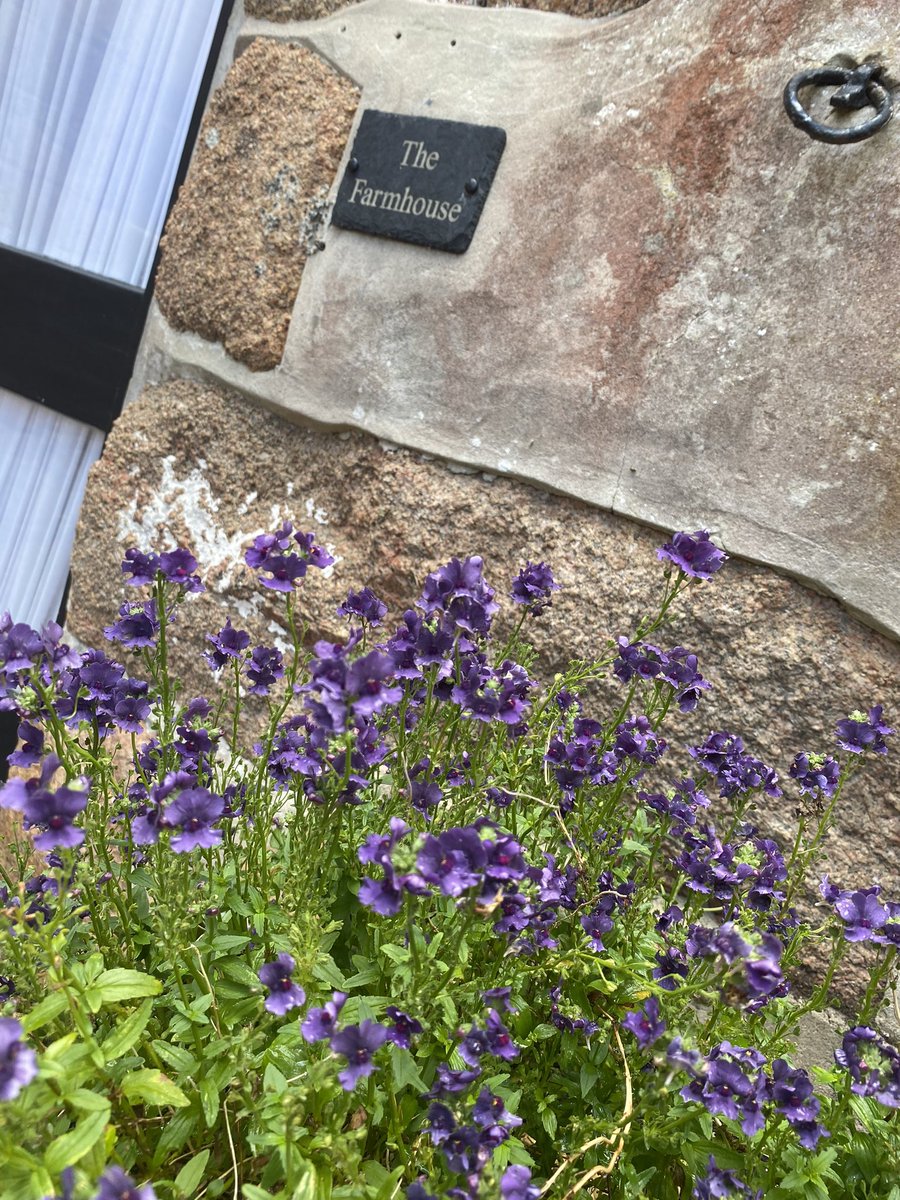 Radier Farm (@radierfarm) on Twitter photo 