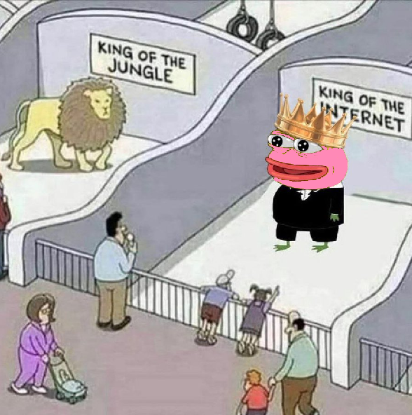 pepe20eth's tweet photo. who is the king？

#pepe #binance📷 #bnb📷 #memecoin https://t.co/BsjeK6qea3