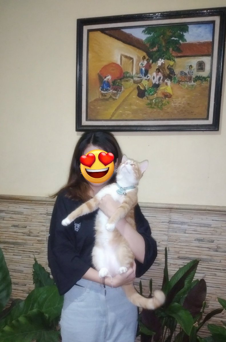 peachyslaff's tweet photo. @kochengfs aku juga punya si gembul https://t.co/9BJ3OTBWP9