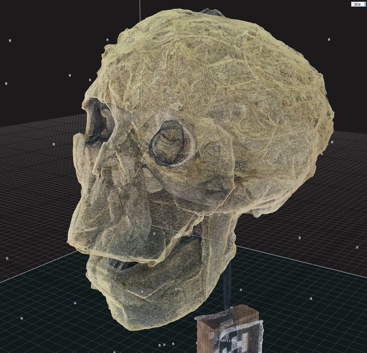 retzompantli's tweet photo. Work in progress, we keep building during the bear! ♻️💀

#3D #nft #digitalart #sculpture #web3 #environment #recycling #ethereum #retzompantli https://t.co/QOANcnLMg1