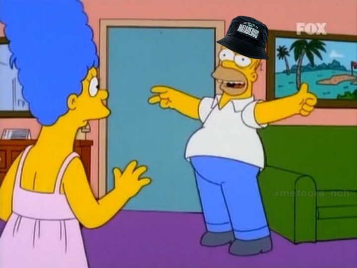 meteora_nch's tweet photo. Sabes cuántas veces ví la tabla de posiciones hoy, Marge? 15 https://t.co/uAMIWhrFwI
