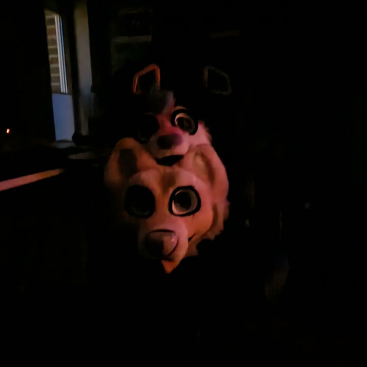 Fengo_Kiru's tweet photo. Gestern Nachm Suiten XD https://t.co/BaGeBIIQks
