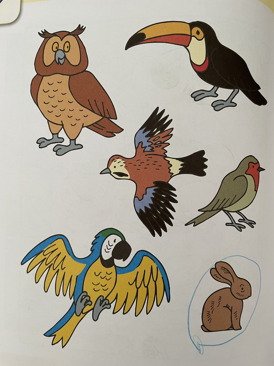 Who is different?
Mom (graduated scientist): The cony, it‘s not a bird.
Daughter (6 years old): The eagle owl. All the others are awake during the day.
Talking about #diversity. Always depending on the perspective…