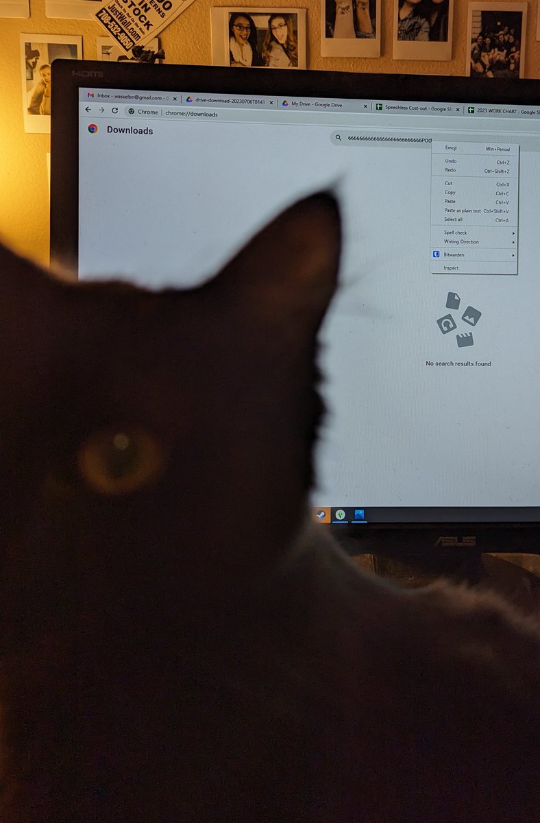 Raven's latest butt search