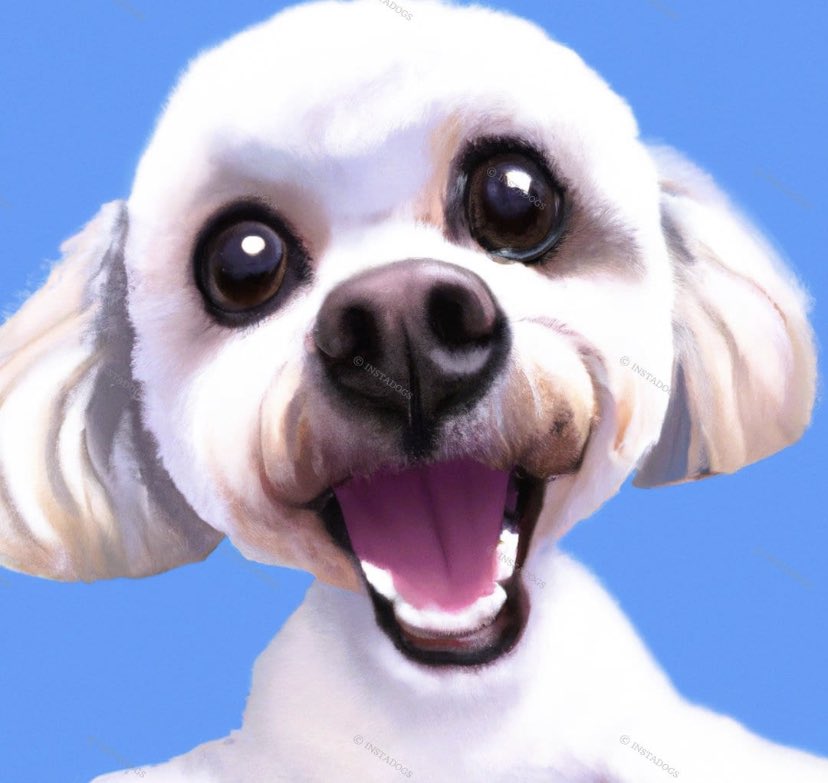 lnstadogs tweet picture