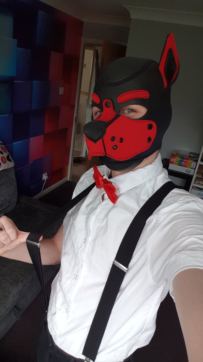 Pup Axton tweet media