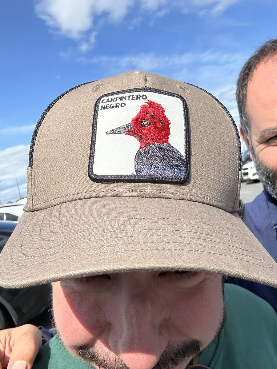 birddetectiveTR's tweet photo. İnsana hediye edilen şapkanın üzerindeki kuşu fotoğraflamış olmanın hazzını yaşamaya kuş dedektifçiliği deniyor. :) Müştak Abi’nin Şili’den alıp getirdiği Macellan Ağaçkakanı’nı 2017’de Arjantin’in en güneyinde fotoğraflamıştım. Neredeyse şapkayla aynı pozda çekmişim. 🤣 https://t.co/2NbsCuO4H5