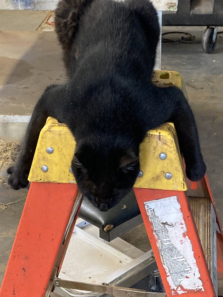 John Fellers tweet media