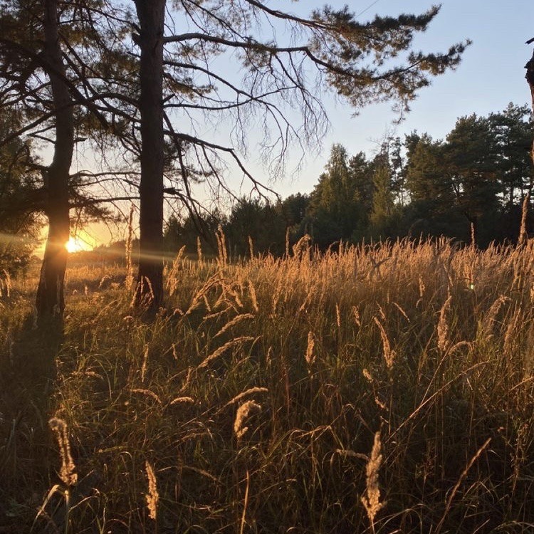 rachaeldeckardd's tweet image. 