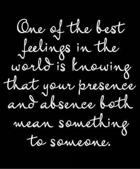 tiger-tom73 tweet media