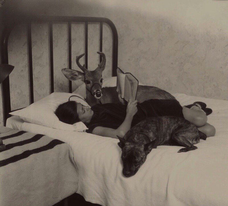 ִֶָ 𝓃𝒶𝓃𝒶. (@ro777ing) on Twitter photo 