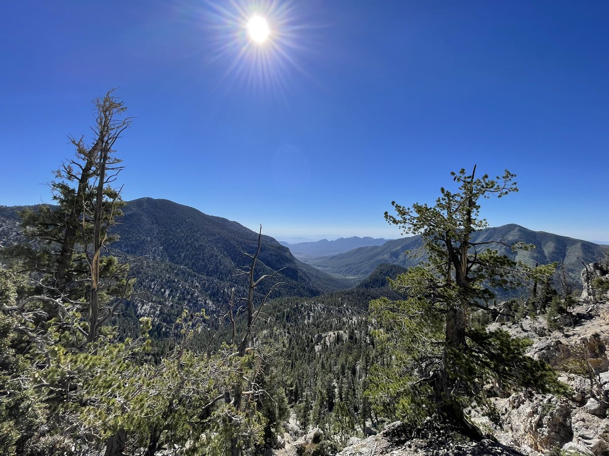 St_pascual's tweet photo. @LasVegasLocally Trail canyon up at Mount Charleston https://t.co/ijyKjBlTRN