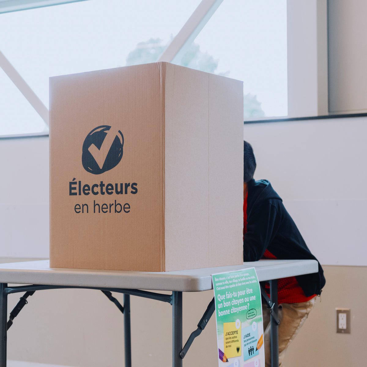 Aujourd’hui, c’est la Journée mondiale des compétences des jeunes! En vivant des expériences démocratiques enrichissantes, les jeunes peuvent développer les compétences requises pour exercer une citoyenneté active et responsable. 💚🗳️ #éducation #démocratie