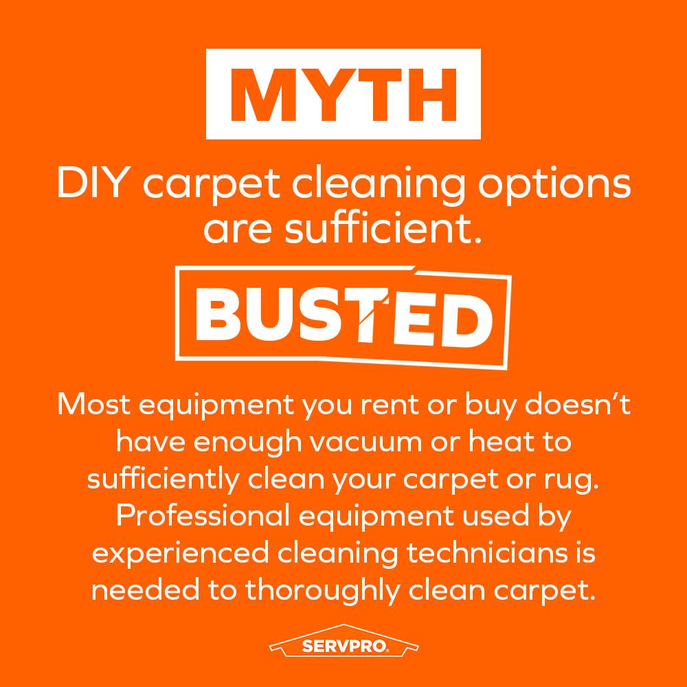 Most store-bought carpet cleaning options aren't enough for a thorough clean! Professional equipment can reach higher temperatures and vacuum at the levels needed to uproot deep-seated dirt and grime. 

If you're looking for carpet cleaning pros, look no further than SERVPRO!
